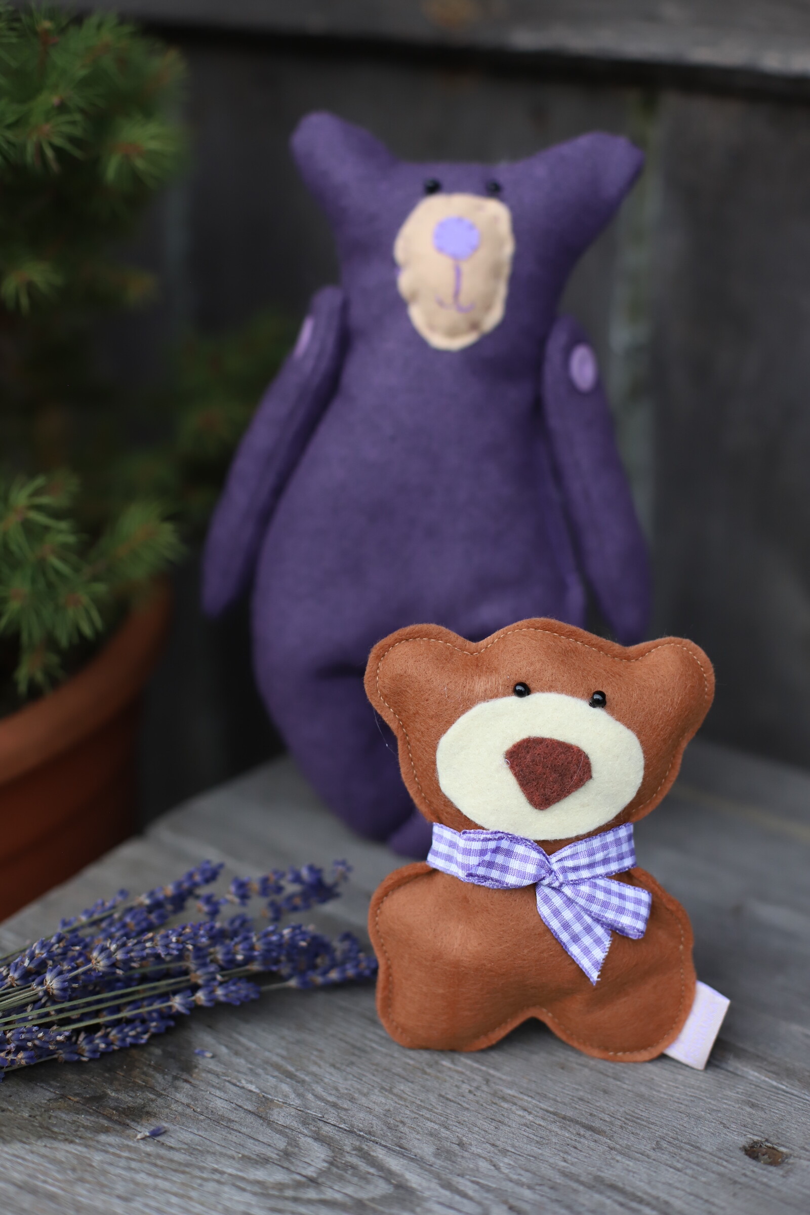 Mały miś z kwiatami lawendy - obrazek 2