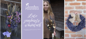 bukiety i wianki z suszonych kwiatów i lawendy z lawendowej Siwianki