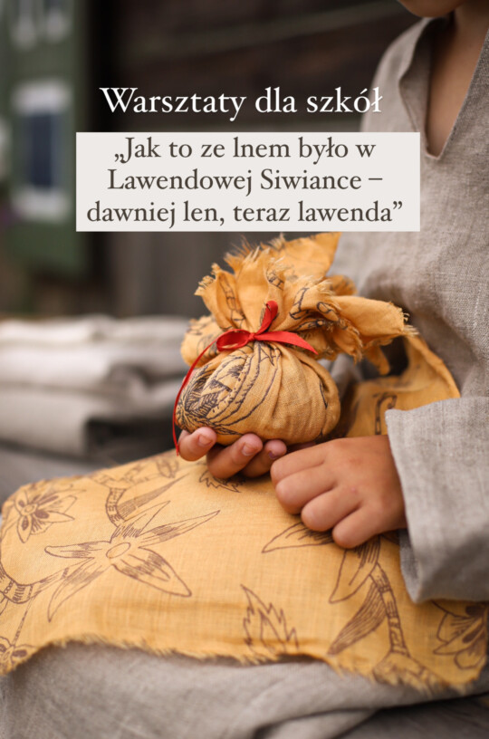 len-i-lawenda