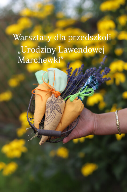 urodziny-lawendowej-marchewki